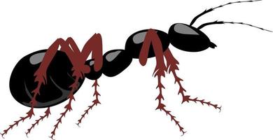 cartoon ant insect . Side view vector