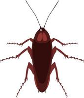 Cockroaches insects top view illustration vector