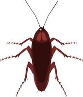 Cockroaches insects top view illustration vector