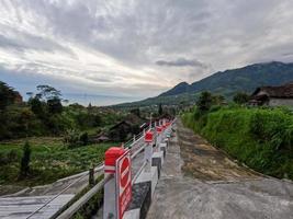 View of a narrow road in the countryside with green surroundings with fresh air photo