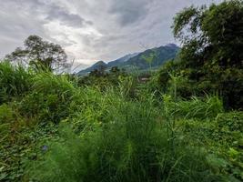 The appearance of Mount Merapi Boyolali, Central Java seen from the north side with agricultural land as foreground photo