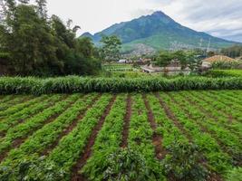 la aparición del monte merapi boyolali, Java central visto desde el lado norte con tierras agrícolas en primer plano foto