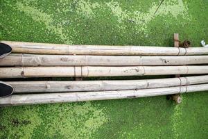 Dry Bamboos on the green weeds photo