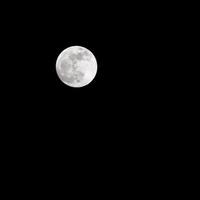 Moon Timelapse, Stock time lapse  Full moon rise in dark nature sky, night time. Full moon disk time lapse with moon light up in night dark black sky. High-quality free video footage or timelapse photo