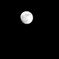 luna llena en el cielo oscuro durante la noche, gran superluna en el cielo foto