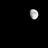 lapso de tiempo de la luna, lapso de tiempo de existencias subida de la luna llena en el cielo de la naturaleza oscura, la noche. Lapso de tiempo de disco de luna llena con luz de luna en el cielo negro oscuro de la noche. secuencias de video gratuitas de alta calidad o timelapse foto