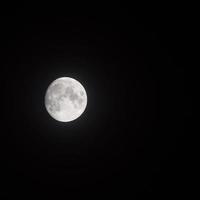 Moon Timelapse, Stock time lapse  Full moon rise in dark nature sky, night time. Full moon disk time lapse with moon light up in night dark black sky. High-quality free video footage or timelapse photo