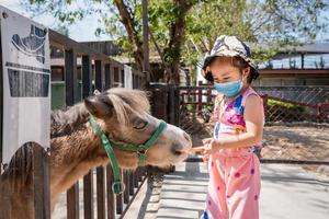 Adorable child girl feeding horse or pony with a carrot on the field or farm at bright sunny. photo