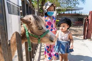 Adorable child girl looking at face of horse and mom feeding horse or pony with a carrot at zoo at bright sunny.