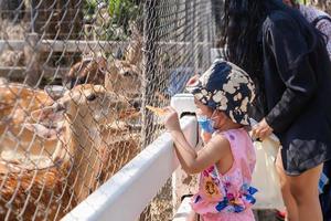 Adorable child girl wearing medical face mask to prevent Covid-19 pandemic disease symptoms during traveling tour with mother or family. photo