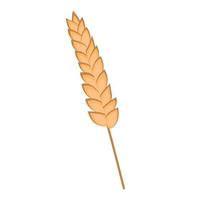 Spikelet of wheat. Flat vector illustration isolated on white background