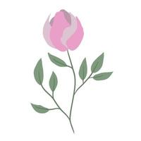 Lovely pink peony flower. Minimalist plant in gentle colors vector