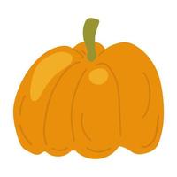 Sweet ripe whole pumpkin. Orange fall vegetable. vector
