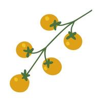 Yellow fresh tomato cherry on a branch. Organic eco food from farm. Cartoon hand drawn vector illustration isolated on white background