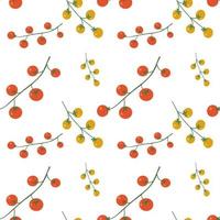 Cherry tomato seamless pattern isolated on white background vector
