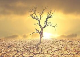 concept of environmental change and global warming photo