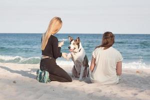 Woman play with dog on the beach photo