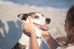 Woman play with dog on the beach photo