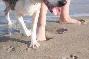 mujer juega con perro en la playa foto