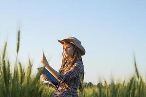 Young woman farmer work in the wheat fields with the tablet in hands photo