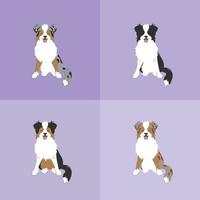 Set of the different Australian shepherd dogs face portrait cartoon illustration. Cute friendly herding dog smiling with tongue out vector