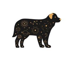 Black magical dog, Mystic crescent moon esoteric symbol, constellation elements. witchy black pet. vector