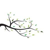 tree branch logo vector