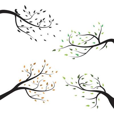 tree branch logo vector