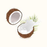 realistic broken coconut with coconut milk splash vector
