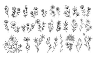 conjunto de elementos florales vintage vectoriales. lindo conjunto de marcos y bordes de garabatos. elementos flores, ramas, florituras y florituras vector
