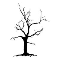 silueta de árbol sobre fondo blanco vector