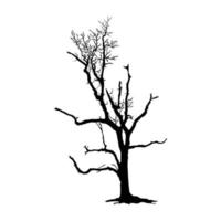 silueta de árbol sobre fondo blanco vector