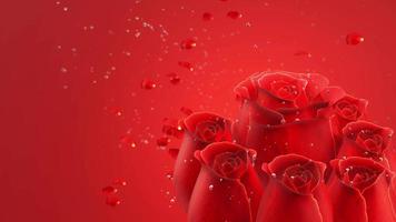 Red rose without stalks and leaves on red background. The rose has dazzling water droplets and bubbles floating behind it. 3D Rendering video