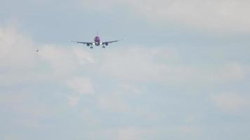 avión y pájaro en el cielo están volando video