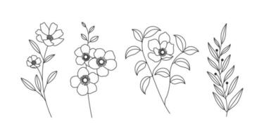 Vector Set Of Line Drawing Abstract Flowers