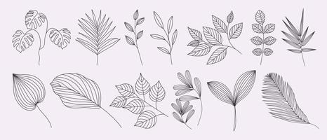 Set Of Leaves And Tree Branch In Line Art Style vector