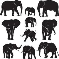 colección de siluetas de elefantes vector