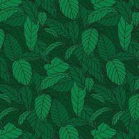 Hand drawn vector illustration of pattern of green leaf. Wallpaper background