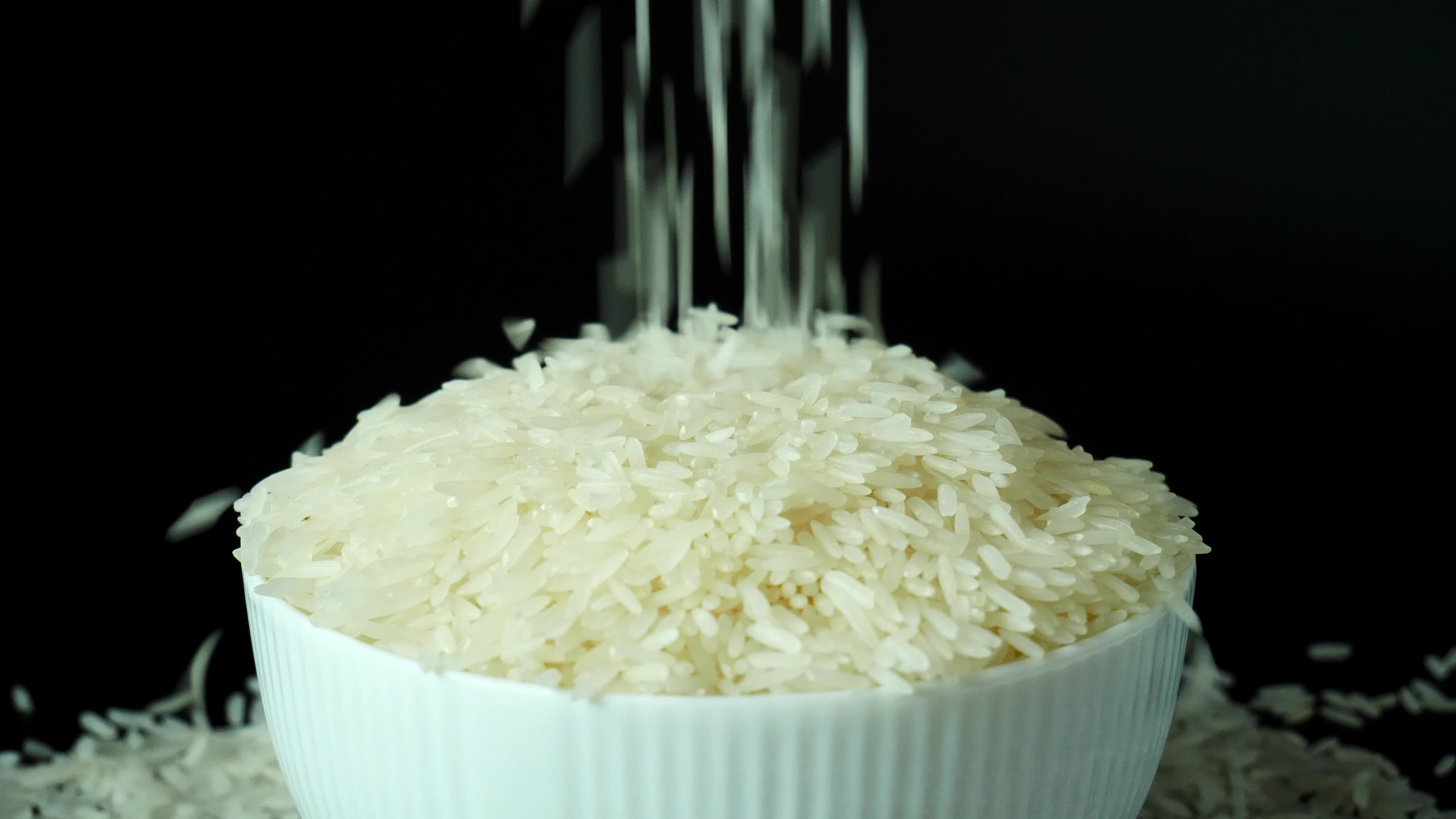 Jasmine rice, popular rice variety in Thailand. Rice grain that has