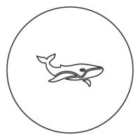 esquema de icono negro de ballena en imagen circular vector