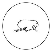 Flea black icon outline in circle image vector