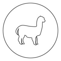 Alpaca black icon outline in circle image vector