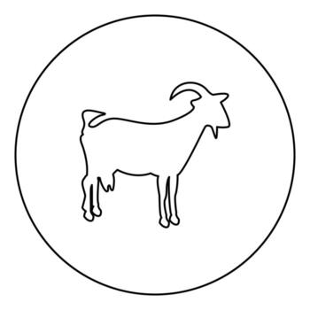 Goat black icon outline in circle image vector