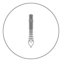Human spine icon black color in circle or round vector