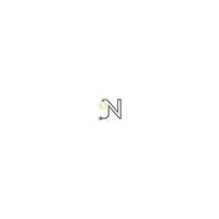 Letter N and lamp, bulp logo vector