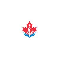 Maple leaf medical pharmacy logo icon vector