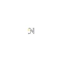 Letter N and lamp, bulp logo vector