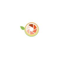 Camera shutter  logo orange vector