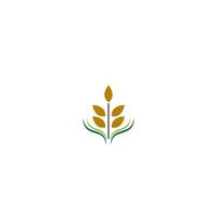 concepto de icono de logotipo de arroz vector