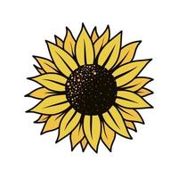 diseño de ilustración de girasol vector